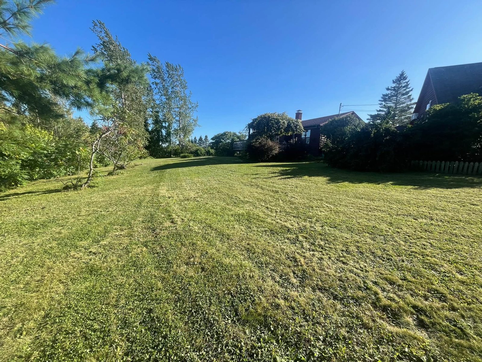 Residential lawn mowing and maintenance