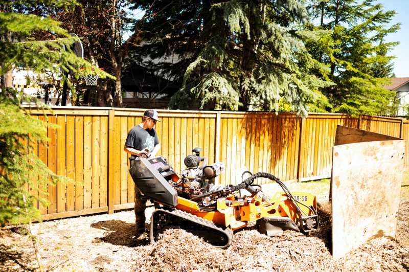 Lawn Maintenance<