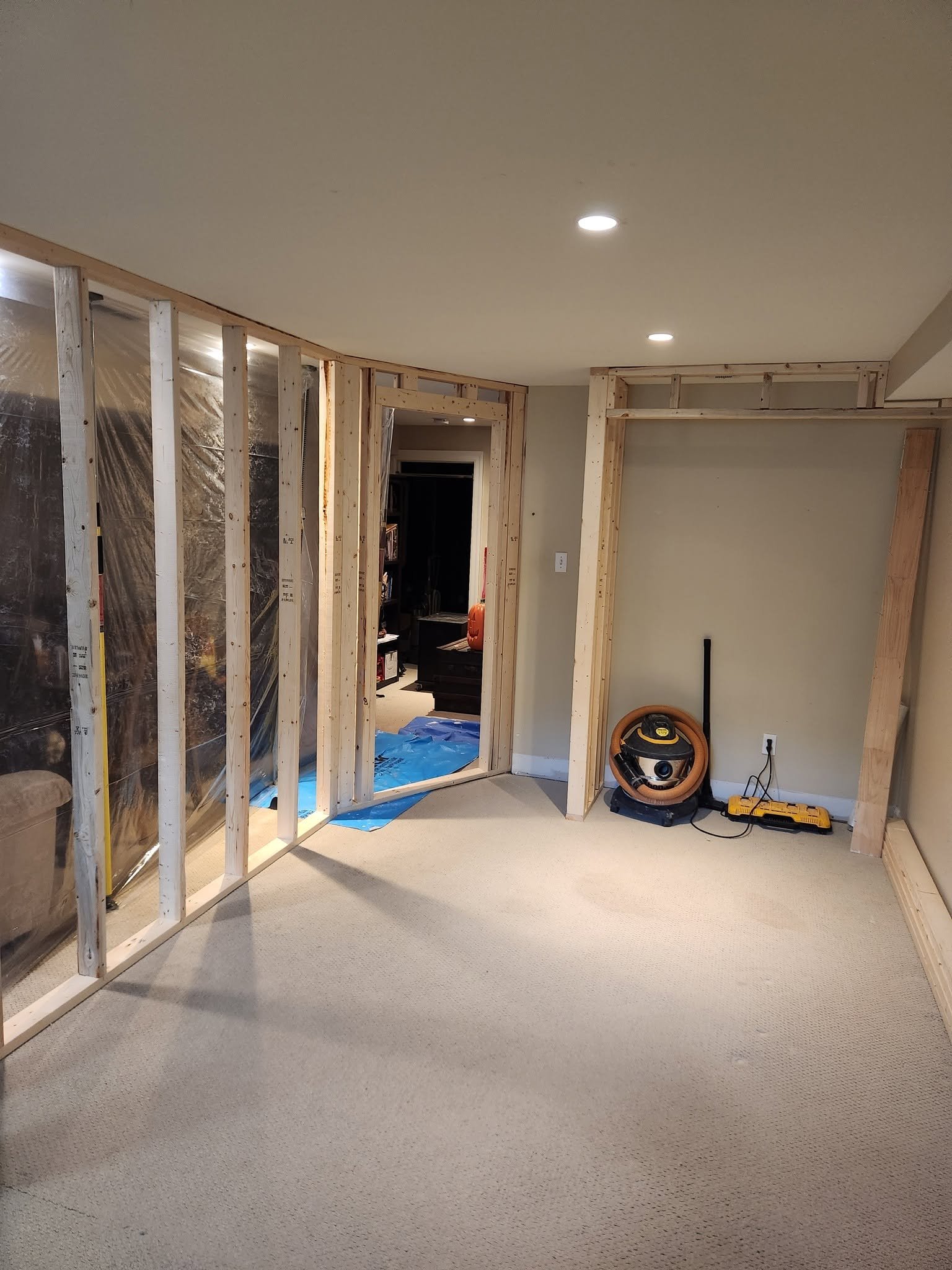 basement finishing<